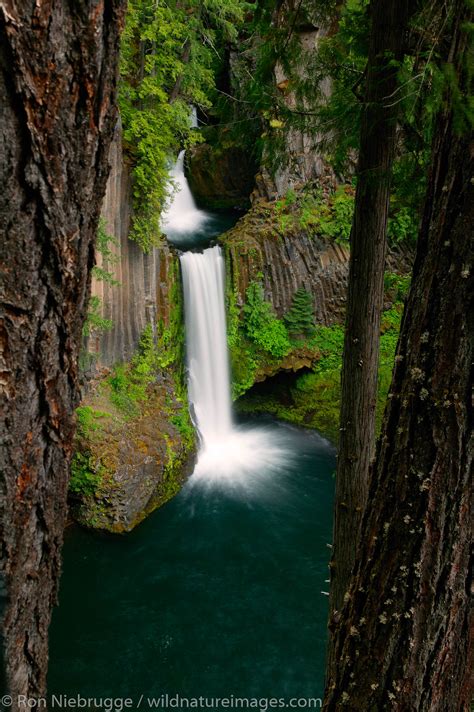 umpqua national forest